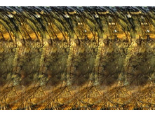 056_stereo.jpg