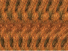 062_stereo.jpg
