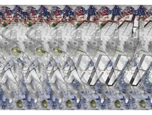064_stereo.jpg
