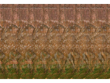 069_stereo.jpg