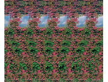 072_stereo.jpg