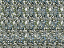 075_stereo.jpg
