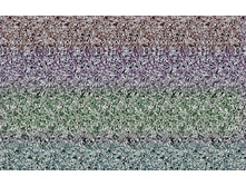 077_stereo.jpg