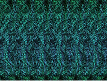 080_stereo.jpg