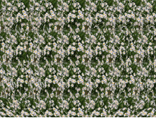 081_stereo.jpg