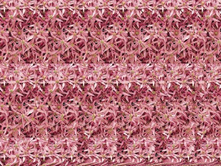 093_stereo.jpg