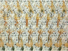 3d157.jpg