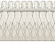 3Dimka_contour_stereo.jpg