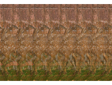 3Dimka_Forest_Stereogram.jpg