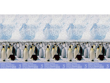 3Dimka_Penguins_900.jpg