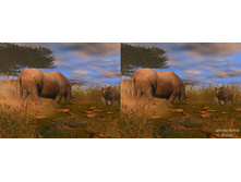 3dpar46.jpg