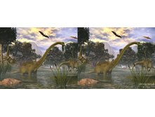 3dpar48.jpg