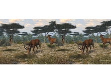 3dpar55.jpg