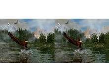 3dpar56.jpg