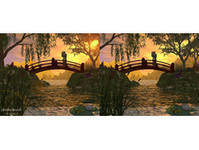 3dpar61.jpg