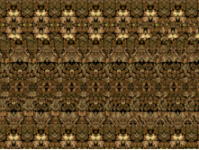 3dstereo_1.jpg