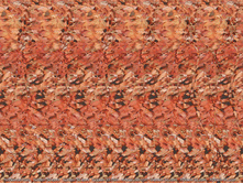 3337_3d-erotika.jpg