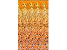3341_ero-stereogramma.jpg
