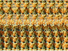 3370_stereogramma.jpg