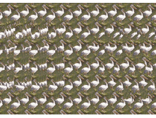 animated_3D_Emil_anim.gif