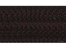 black_cat_stereo8.jpg