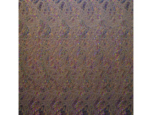 embrione_01.jpg