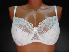 Glora ����������� 125133.JPG