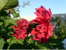 S73R2761.JPG