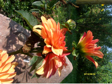 S73R2836.JPG