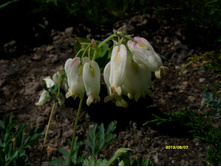 S73R2895.JPG