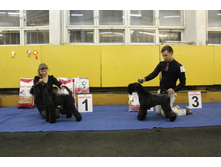 2012_12_16_6306.JPG