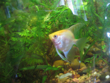 13.04.2010 14:33:31