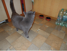 DSCN6756.JPG