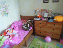 DSCN6805.JPG