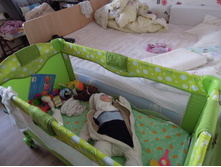 DSCN6849.JPG