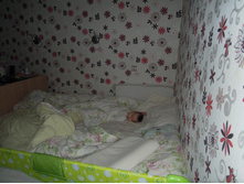 DSCN6947.JPG