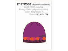 F13TC580-01.png