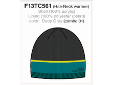 F13TC561-01.png
