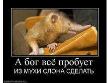 14.04.2010 10:01:02