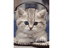 i-539.gif