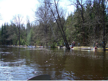 15.04.2010 19:39:52