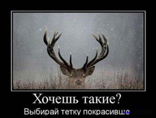 demotivator 2 (25).jpg