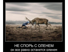������������ (1180).jpg