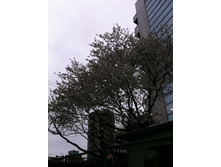 16.04.2010 15:18:03