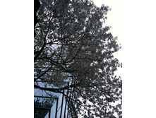 16.04.2010 15:18:10