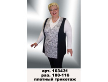103431 