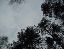 17.04.2010 20:58:53