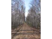 18.04.2010 22:26:44