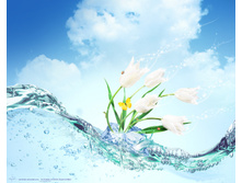 19.04.2010 9:15:21