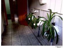 19.04.2010 12:13:39